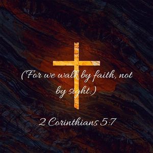 Meet your Posher, Arlene